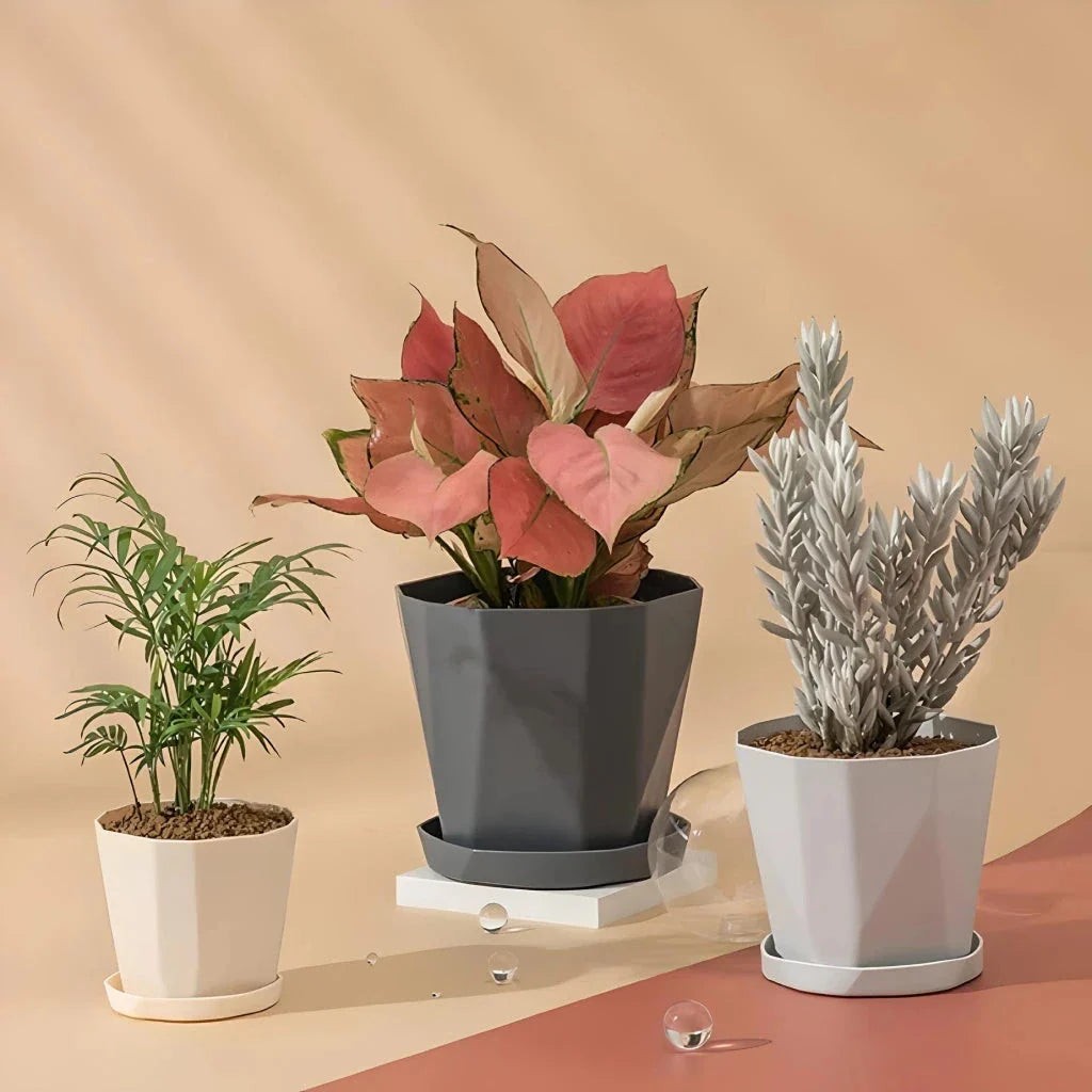 Elegant Nordic-style resin flower pot with a minimalist design, perfect for displaying indoor plants and adding a touch of Scandinavian charm to any room.