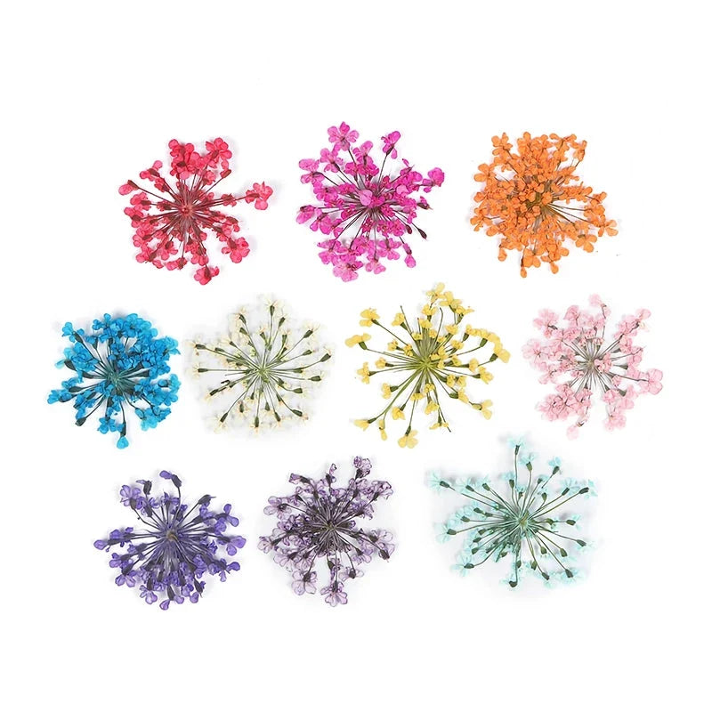 3D Dried Flower Nail Art Decorations Set featuring vibrant, real dried flowers for unique and elegant nail designs