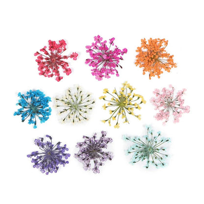 3D Dried Flower Nail Art Decorations Set featuring vibrant, real dried flowers for unique and elegant nail designs