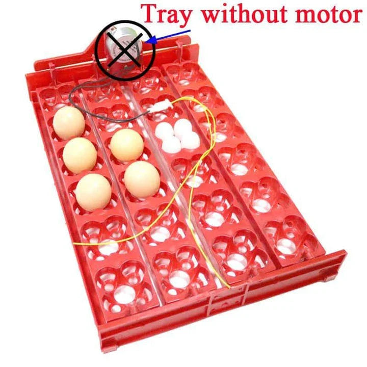 Hhomeenjoy 24-Egg Automatic Incubator for Bird Eggs