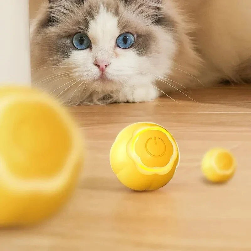 Interactive LED cat toy ball with automatic movements, smart obstacle avoidance, and colorful LED lights for engaging playtime