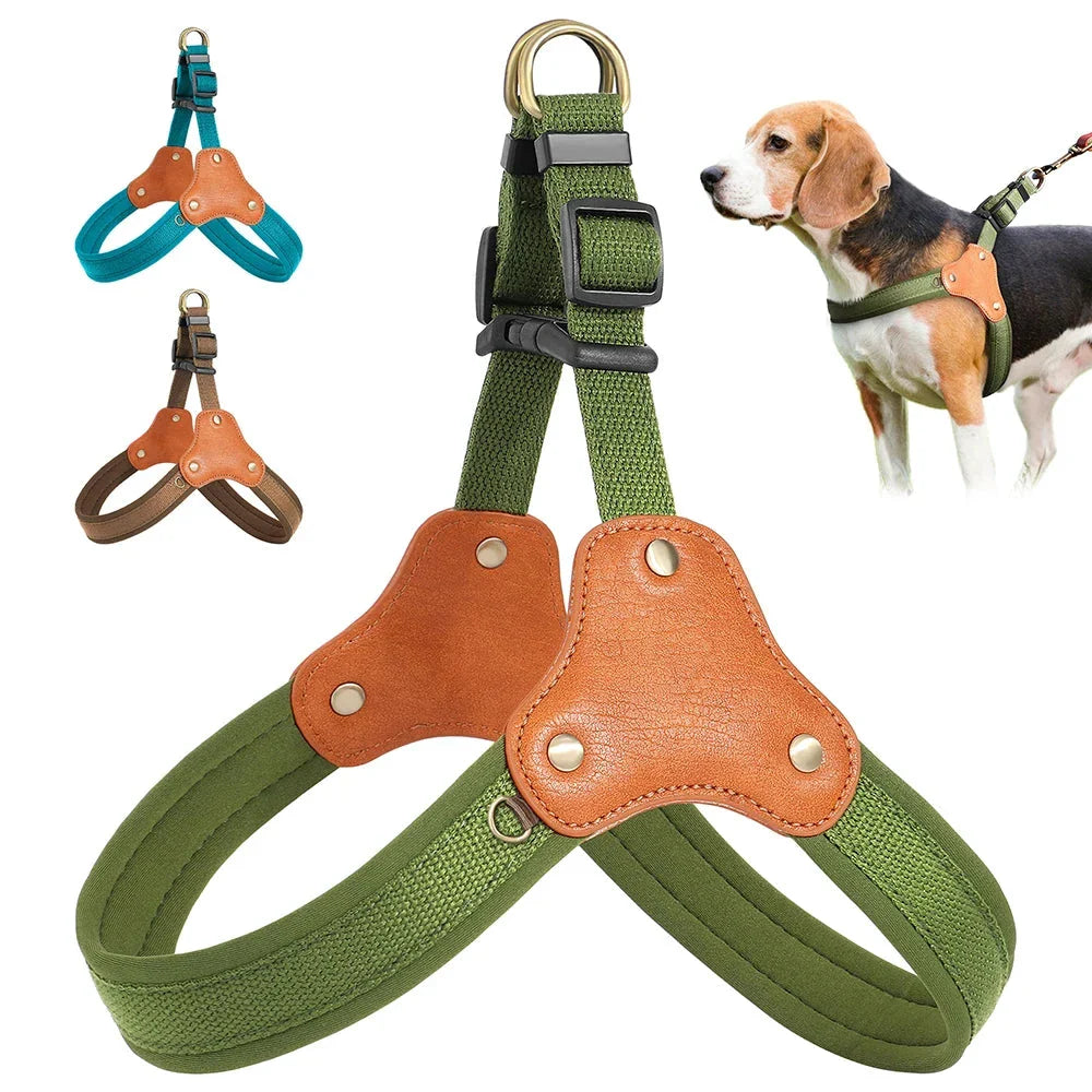 Durable, adjustable nylon dog harness with reflective trim, available in multiple colors for small, medium, and large dogs
