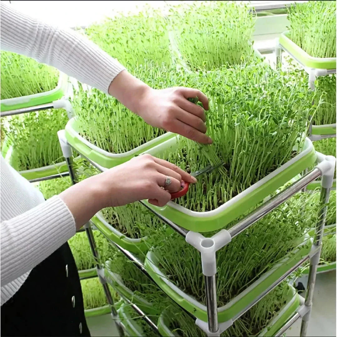 EasyGrow Hydroponic Microgreens & Sprouting Tray - Grow fresh, nutrient-dense microgreens and sprouts at home