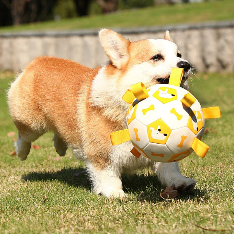 Hhomeenjoy US Durable Interactive Dog Football Toy with Grab Tabs for Outdoor Fun