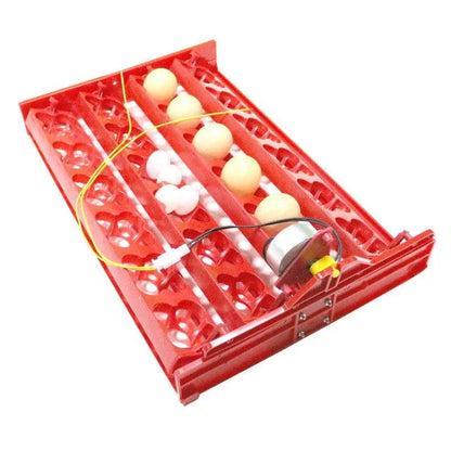 24-egg automatic incubator for hatching bird eggs with precise temperature and humidity controls