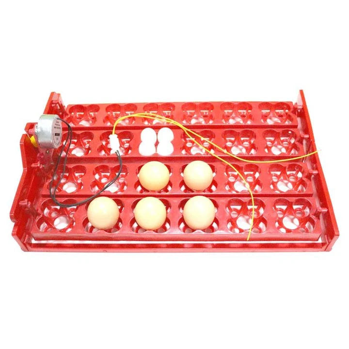 24-egg automatic incubator for hatching bird eggs with precise temperature and humidity controls
