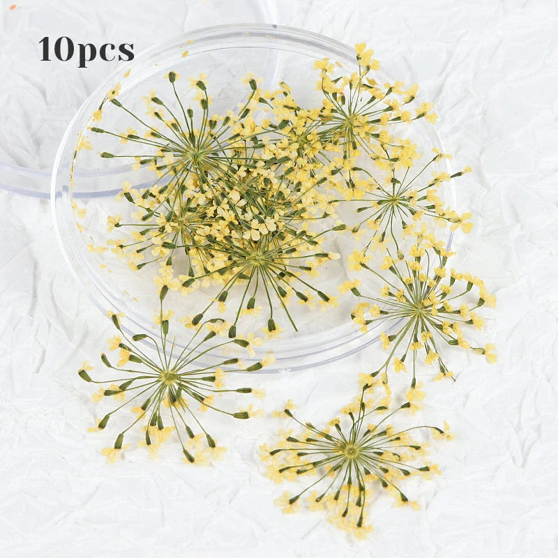 3D Dried Flower Nail Art Decorations Set featuring vibrant, real dried flowers for unique and elegant nail designs