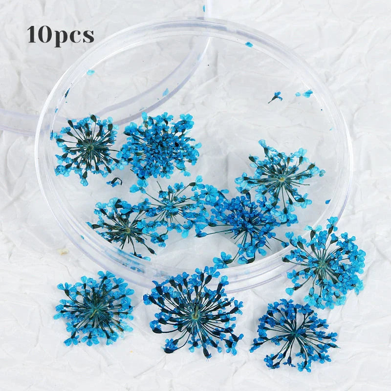 3D Dried Flower Nail Art Decorations Set featuring vibrant, real dried flowers for unique and elegant nail designs