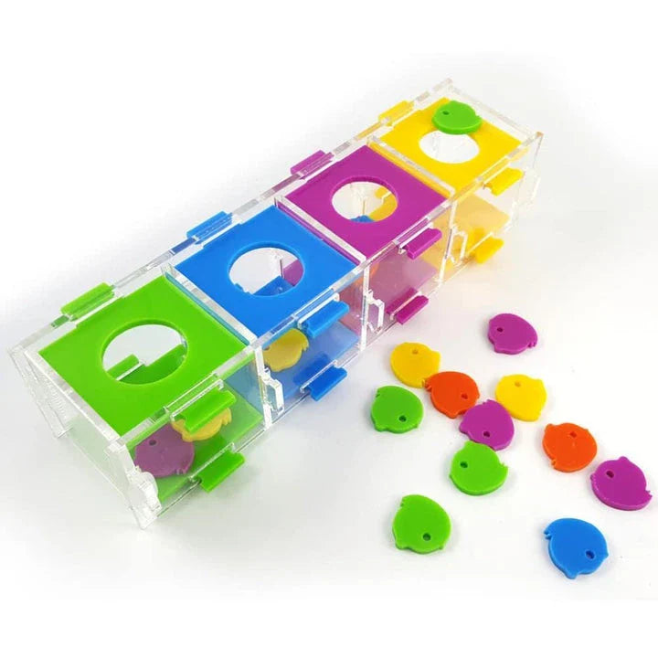 Intellectual Training Toy for Parrots: Engaging Color Puzzle and Brain Teaser to Promote Cognitive Development