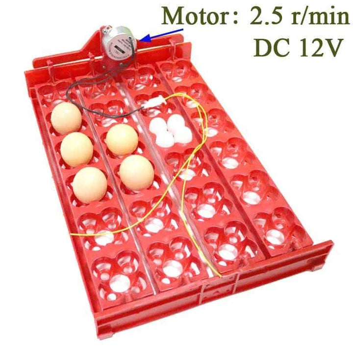 24-egg automatic incubator for hatching bird eggs with precise temperature and humidity controls