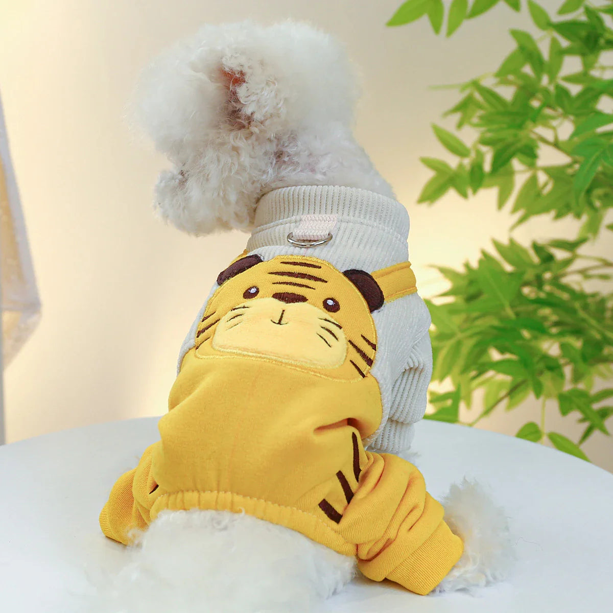Corduroy suspender pants for dogs in various sizes and colors, featuring a trendy and fashionable design