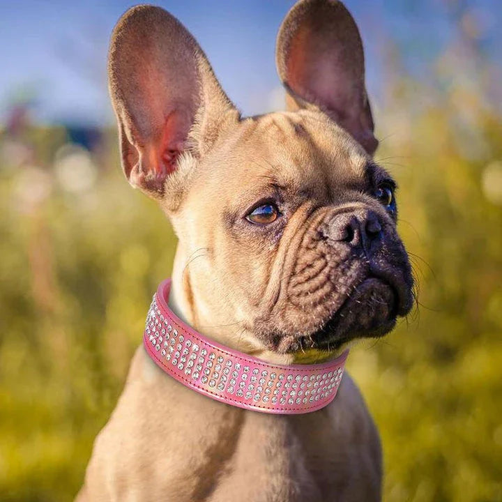 Sparkling rhinestone dog collar made of high-quality PU leather, available in multiple colors for medium and large dogs