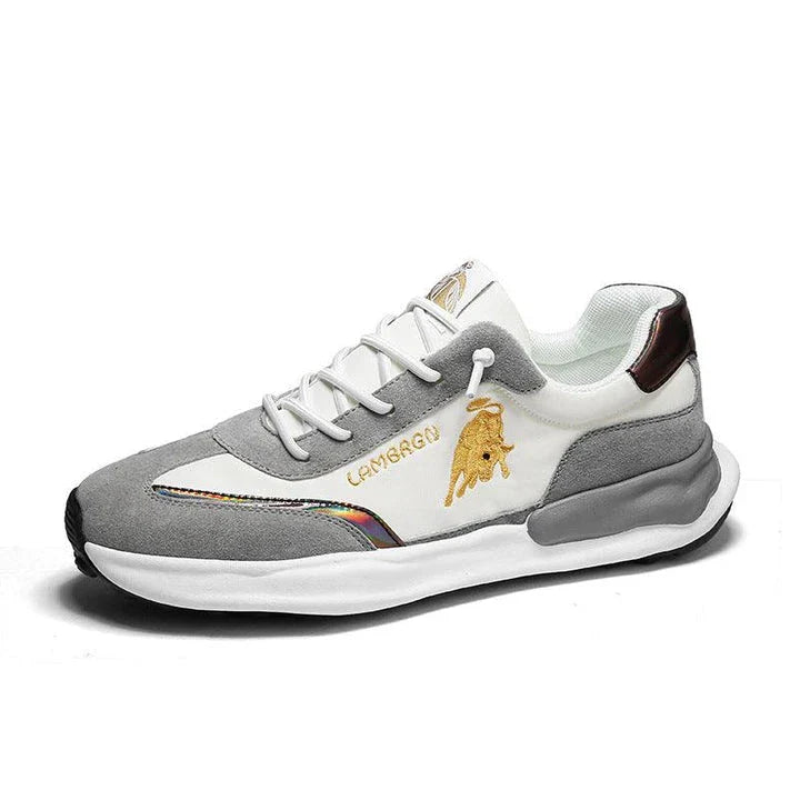 A pair of stylish, breathable men's casual shoes with a thick, durable rubber sole for enhanced comfort and traction.