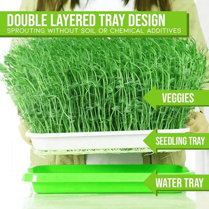 EasyGrow Hydroponic Microgreens & Sprouting Tray - Grow fresh, nutrient-dense microgreens and sprouts at home