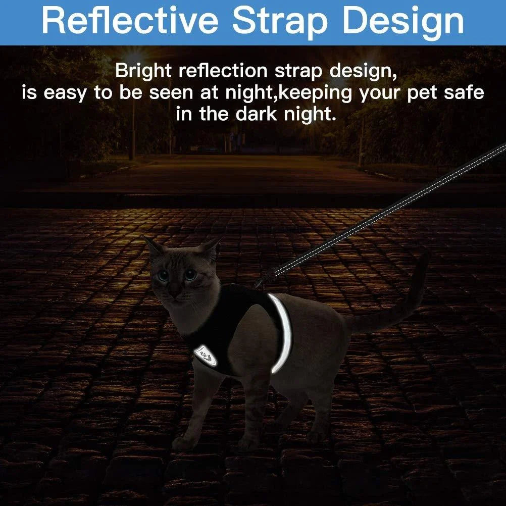 Reflective and breathable pet harness in blue color with adjustable straps and mesh design for safety and comfort