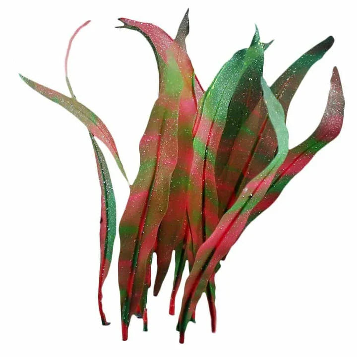 Realistic-looking artificial seaweed aquarium decor in a purple color, perfect for adding natural ambiance and beauty to any fish tank or aquarium.