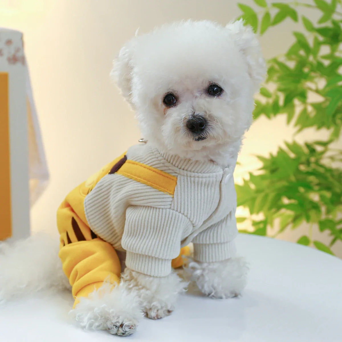 Corduroy suspender pants for dogs in various sizes and colors, featuring a trendy and fashionable design