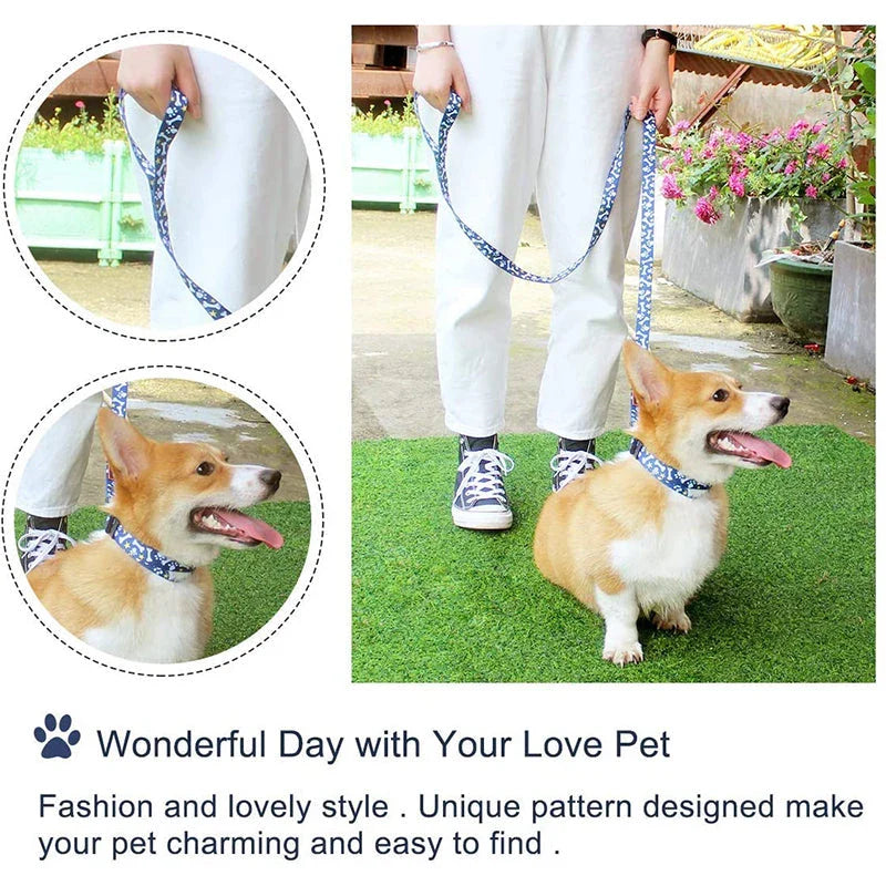 Adjustable no-pull dog harness and leash set in blue color, designed for small and medium-sized pets