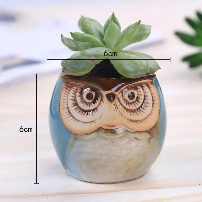 Adorable mini owl-shaped ceramic planter for small plants and succulents, featuring vibrant colors and vintage charm