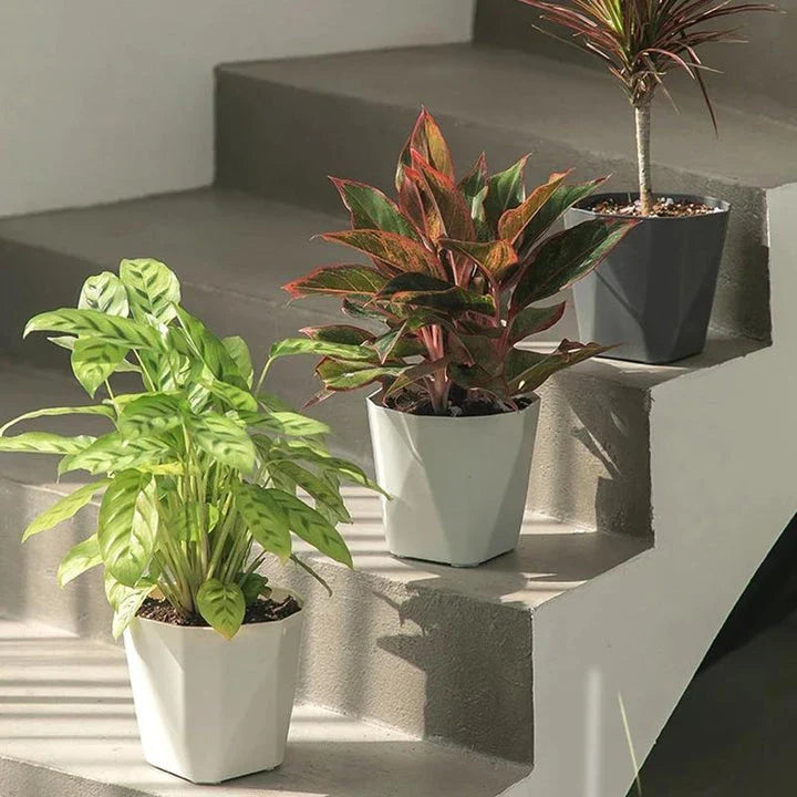Elegant Nordic-style resin flower pot with a minimalist design, perfect for displaying indoor plants and adding a touch of Scandinavian charm to any room.