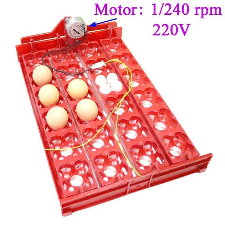 24-egg automatic incubator for hatching bird eggs with precise temperature and humidity controls
