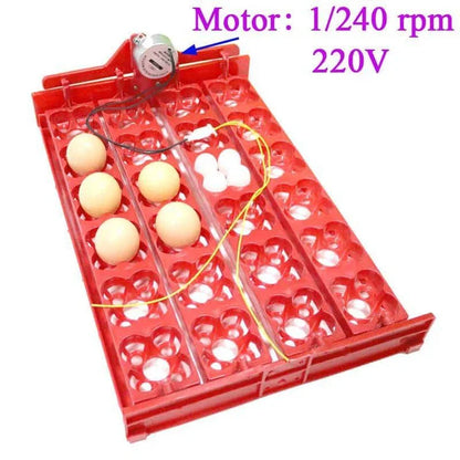 24-egg automatic incubator for hatching bird eggs with precise temperature and humidity controls