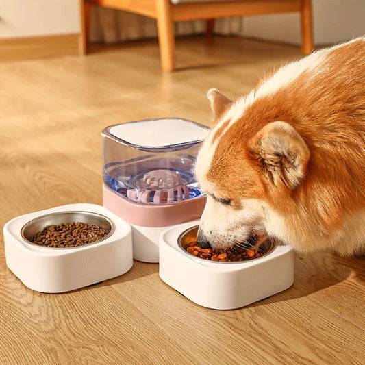 Large Capacity Automatic Pet Feeding Station with Water Dispenser and Separate Food Bowls for Dry and Wet Meals