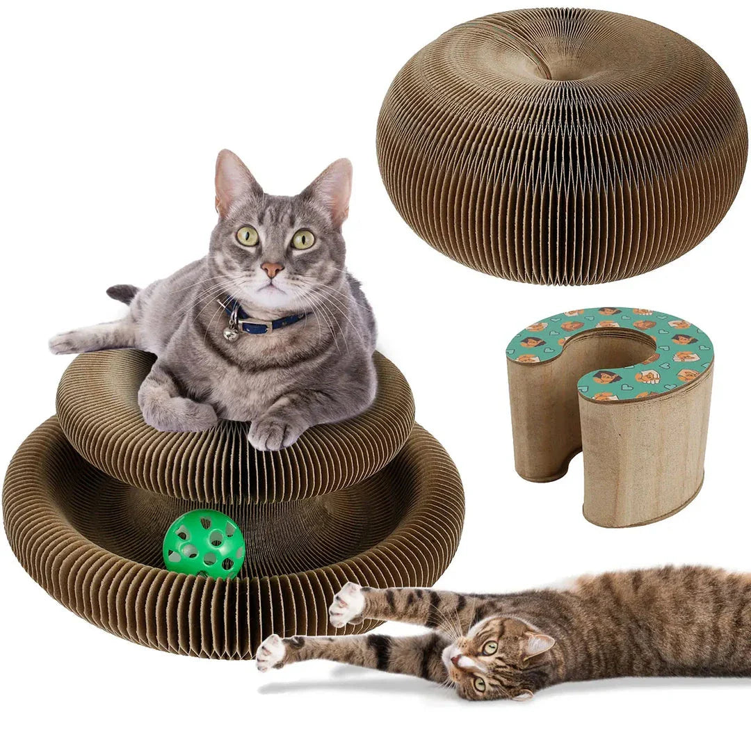 Foldable cat scratcher with toy ball, versatile climbing and sleeping board for cats