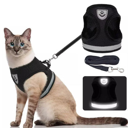Reflective and breathable pet harness in blue color with adjustable straps and mesh design for safety and comfort