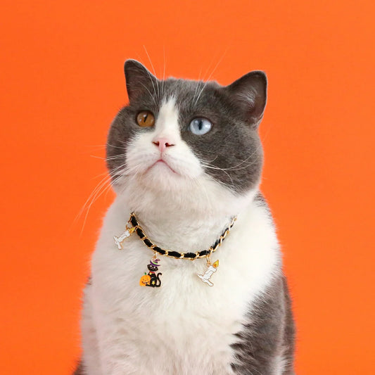 Stylish pet Halloween collar made of velvet with a dripping bat design, available in adjustable sizes for a comfortable fit.
