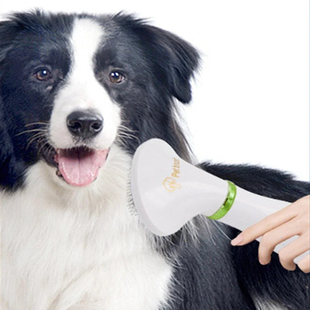 2-in-1 pet grooming brush with drying function, suitable for all dog and cat breeds