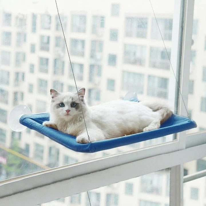 Cozy cat hammock in various colors, including green, khaki, purple, blue, and more, with and without cushions