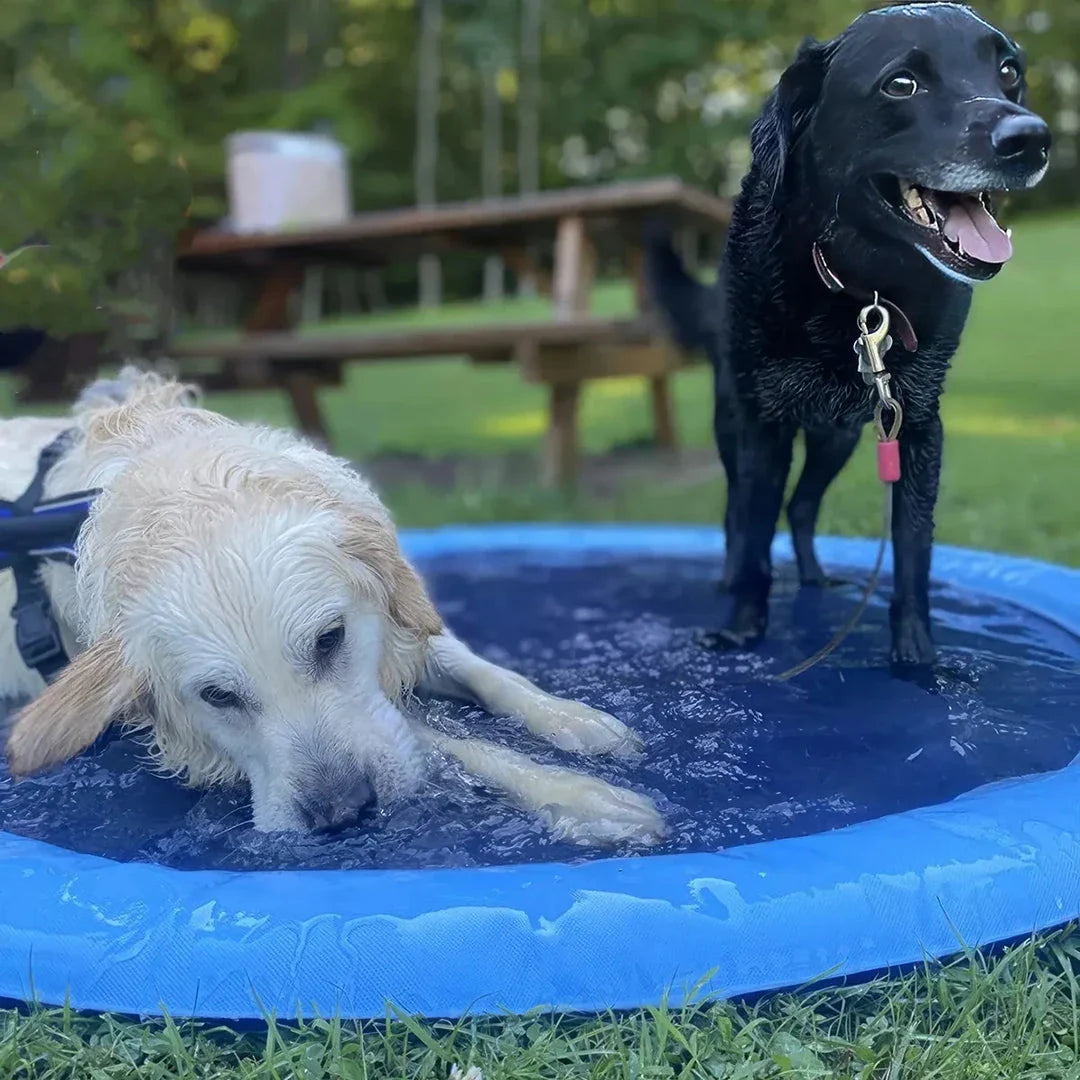 Inflatable blue dog splash pool and sprinkler mat with water jets, perfect for outdoor summer fun