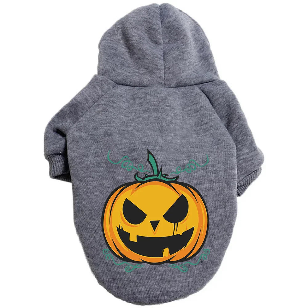 A cozy pumpkin-themed dog sweater in various vibrant colors, perfect for Halloween festivities.
