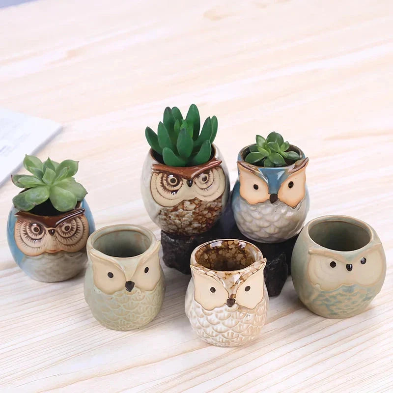 Hhomeenjoy Charming Mini Owl Ceramic Planter for Houseplants