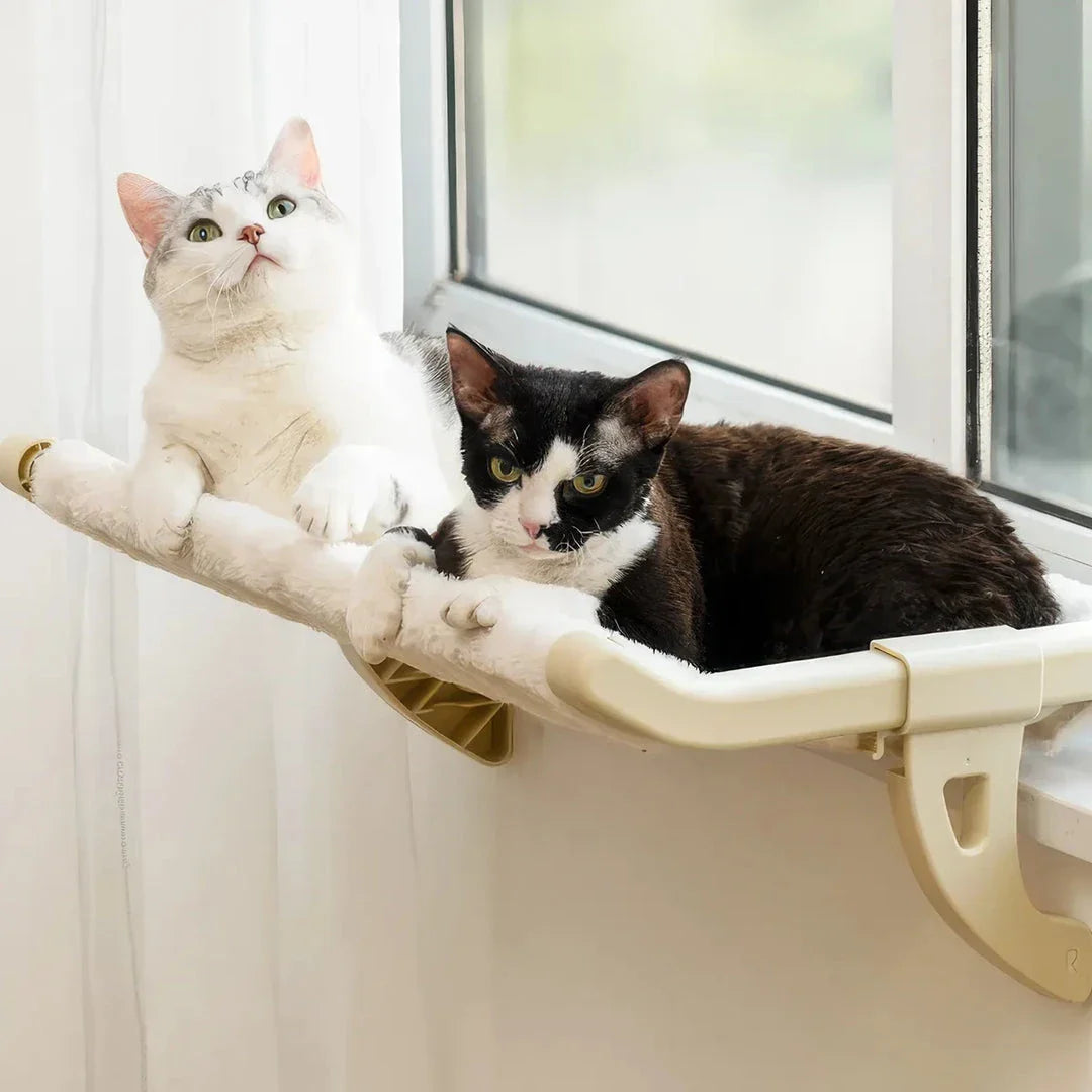 Cat relaxing in a cozy, hanging hammock bed placed in a sunny window