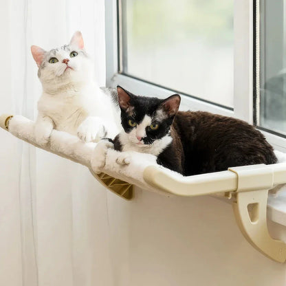 Cat relaxing in a cozy, hanging hammock bed placed in a sunny window
