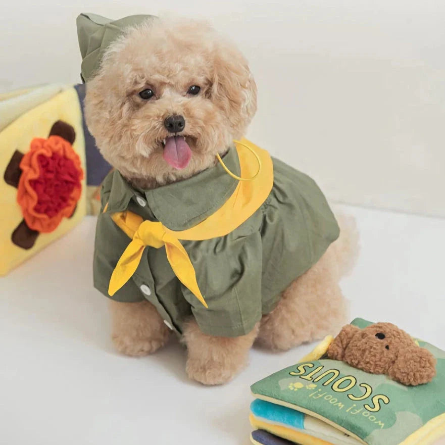 Interactive dog toy book with hidden treat compartments and a built-in squeaker for mental stimulation and enrichment