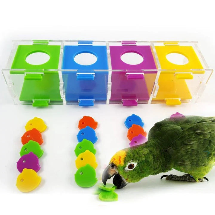Intellectual Training Toy for Parrots: Engaging Color Puzzle and Brain Teaser to Promote Cognitive Development