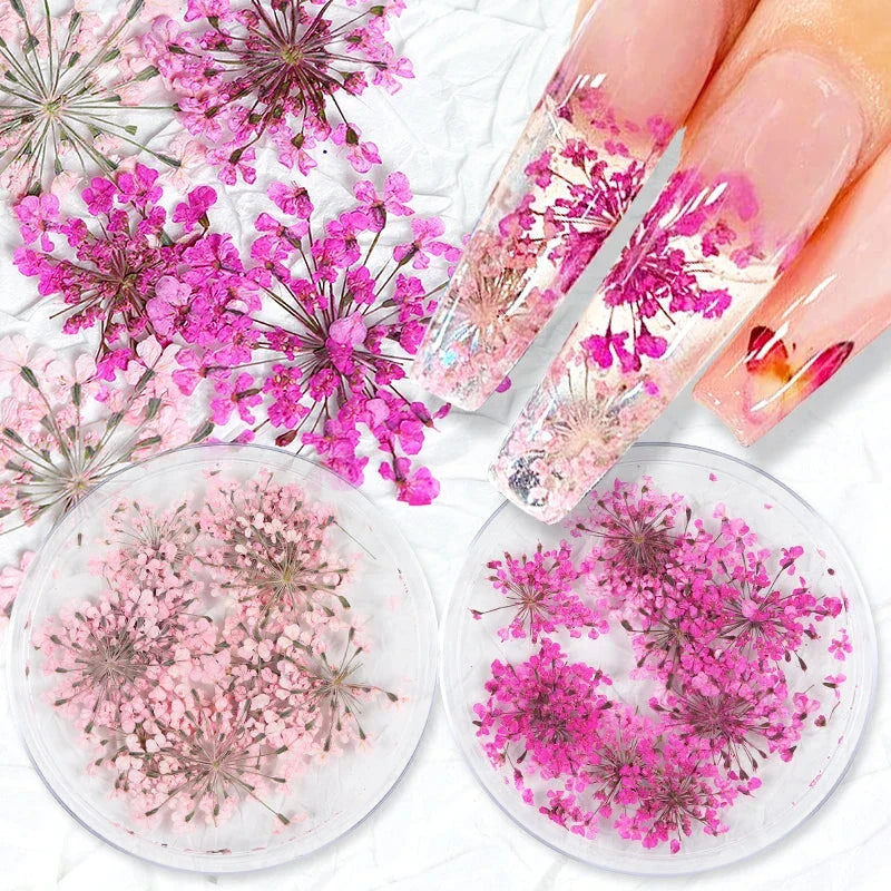 3D Dried Flower Nail Art Decorations Set featuring vibrant, real dried flowers for unique and elegant nail designs