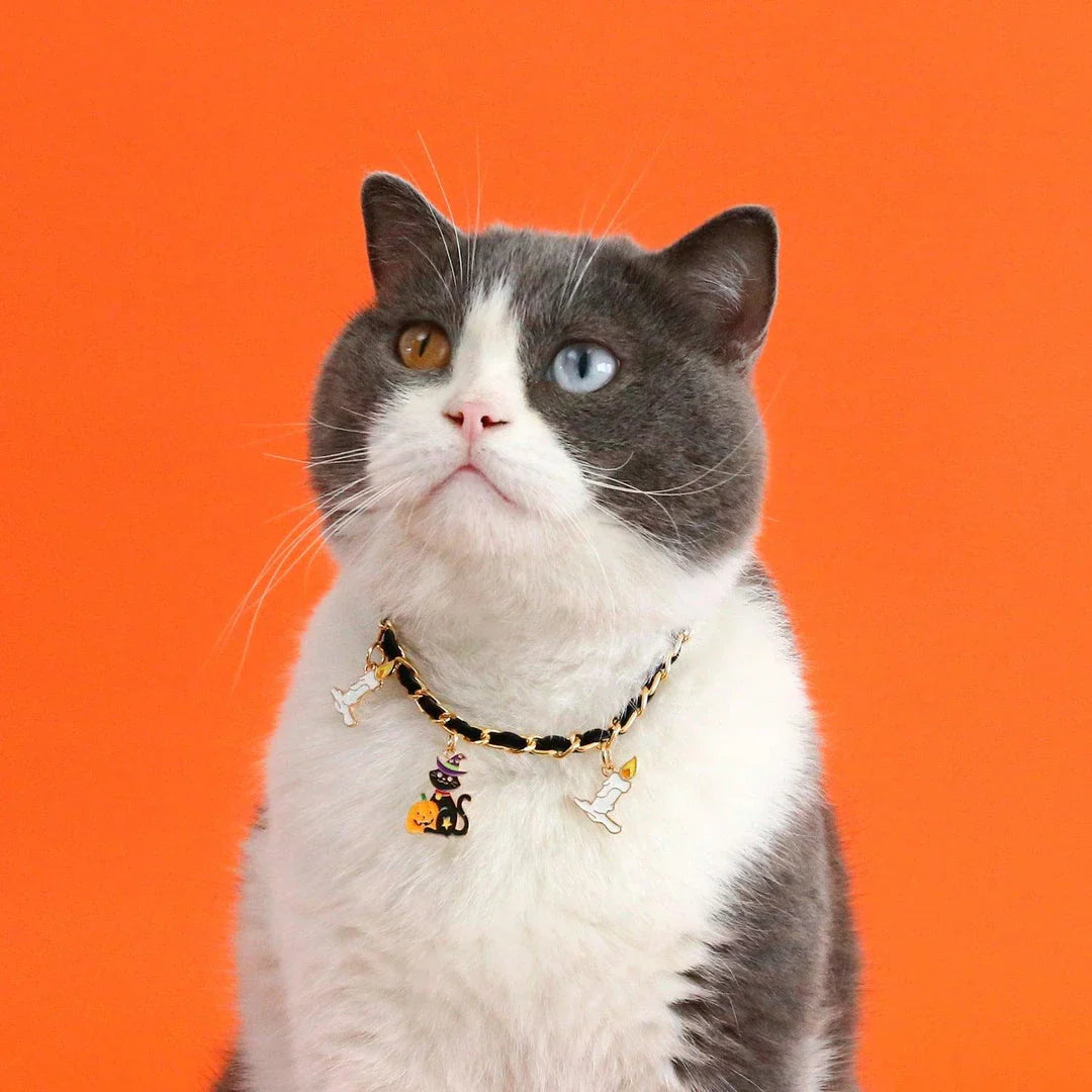 Stylish pet Halloween collar made of velvet with a dripping bat design, available in adjustable sizes for a comfortable fit.