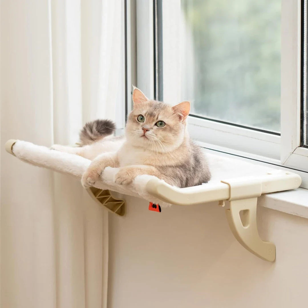 Cat relaxing in a cozy, hanging hammock bed placed in a sunny window