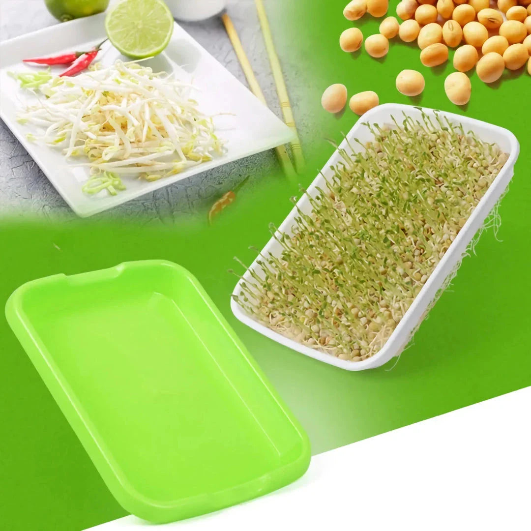 EasyGrow Hydroponic Microgreens & Sprouting Tray - Grow fresh, nutrient-dense microgreens and sprouts at home