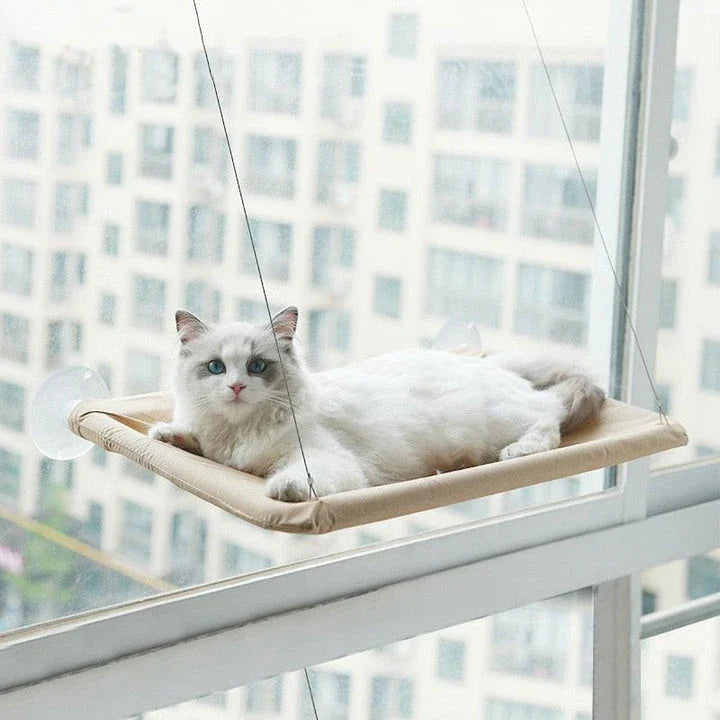 Cozy cat hammock in various colors, including green, khaki, purple, blue, and more, with and without cushions