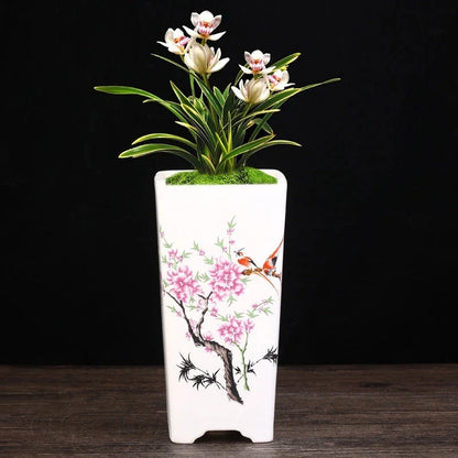 Elegant square ceramic planter in white with a Chinese-inspired design, suitable for indoor plants like asparagus fern and orchid.