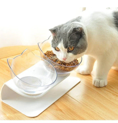 Elevated non-slip cat bowls with raised stand, perfect for preventing messes and encouraging slower eating for your feline friend