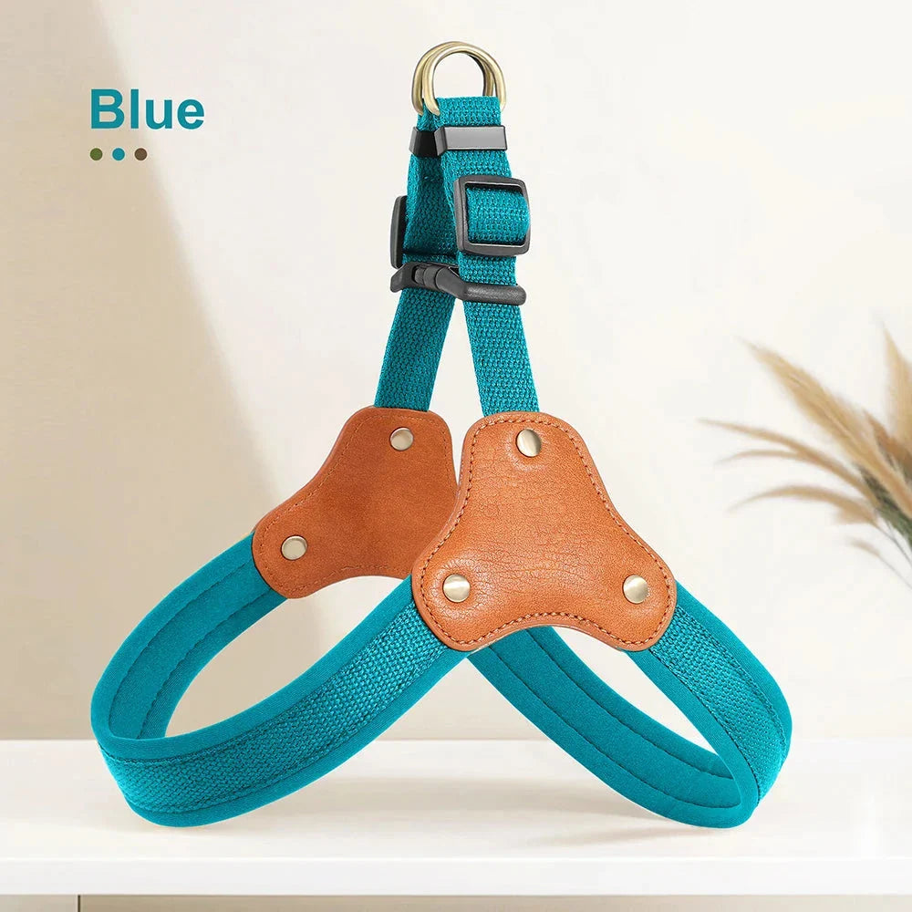 Durable, adjustable nylon dog harness with reflective trim, available in multiple colors for small, medium, and large dogs