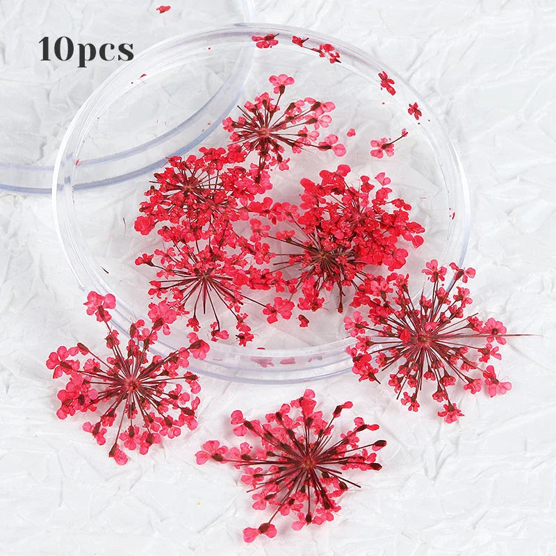 3D Dried Flower Nail Art Decorations Set featuring vibrant, real dried flowers for unique and elegant nail designs