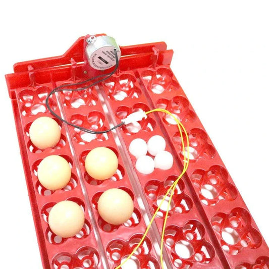 24-egg automatic incubator for hatching bird eggs with precise temperature and humidity controls