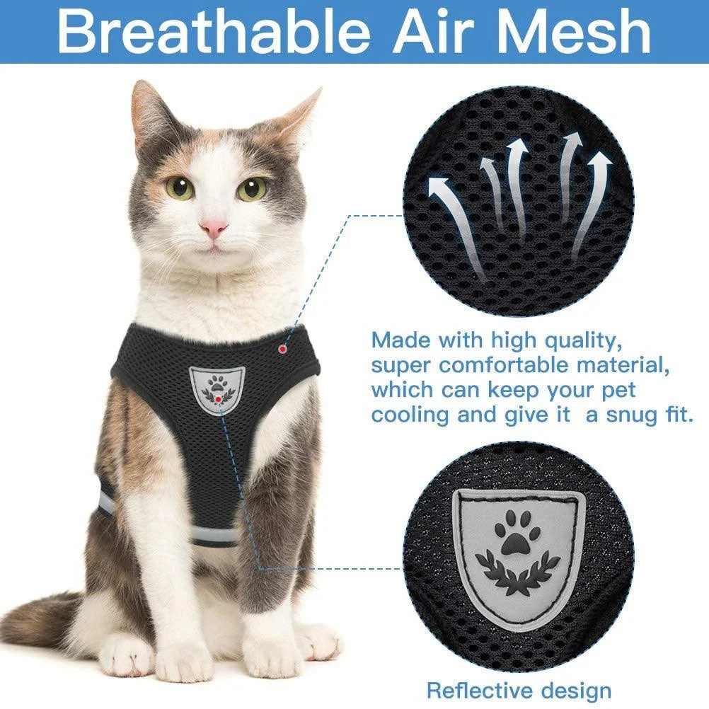 Reflective and breathable pet harness in blue color with adjustable straps and mesh design for safety and comfort